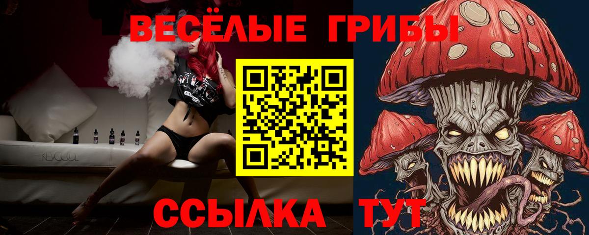 Псилоцибиновые грибы Psilocybine cubensis Строитель